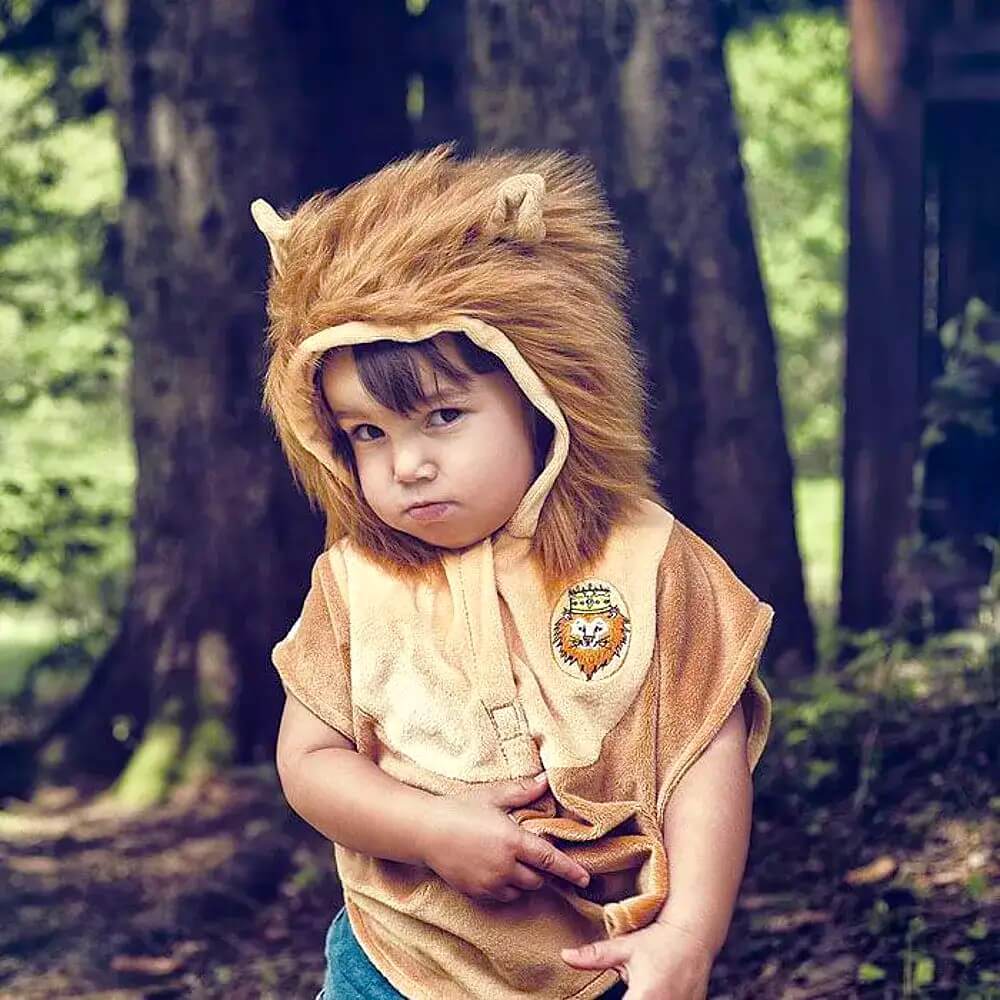 cape leeuw mantel verkleedcape leeuw lion souza verkleedkledij kinderen carnaval verjaardag cadeau voorzijde